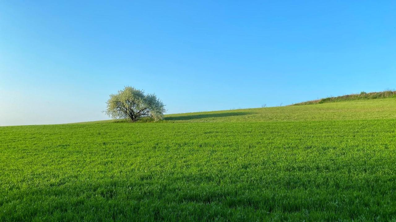 Agriturismo Albana Castiglione Delle Stiviere Eksteriør billede